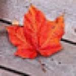 Maa Hindu Hotel Restaurant